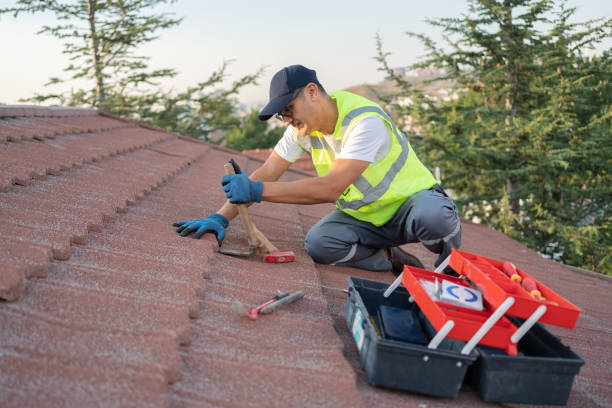 Best Flat Roof Repair Services  in Dike, IA