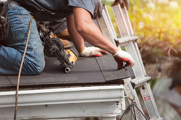 Best Roof Gutter Cleaning  in Dike, IA